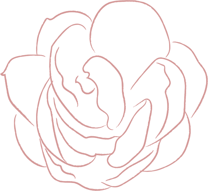 Inicio 2 elements line drawing white jasmine flower illustrations FF57E82 2020 06 29 2