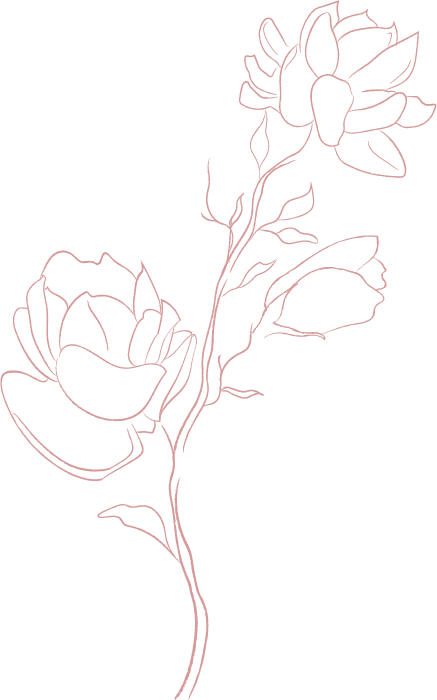 Inicio 11 jasmine flowers white 1.2 Converted