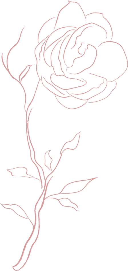 Inicio 22 jasmine flowers white 4.1 Converted